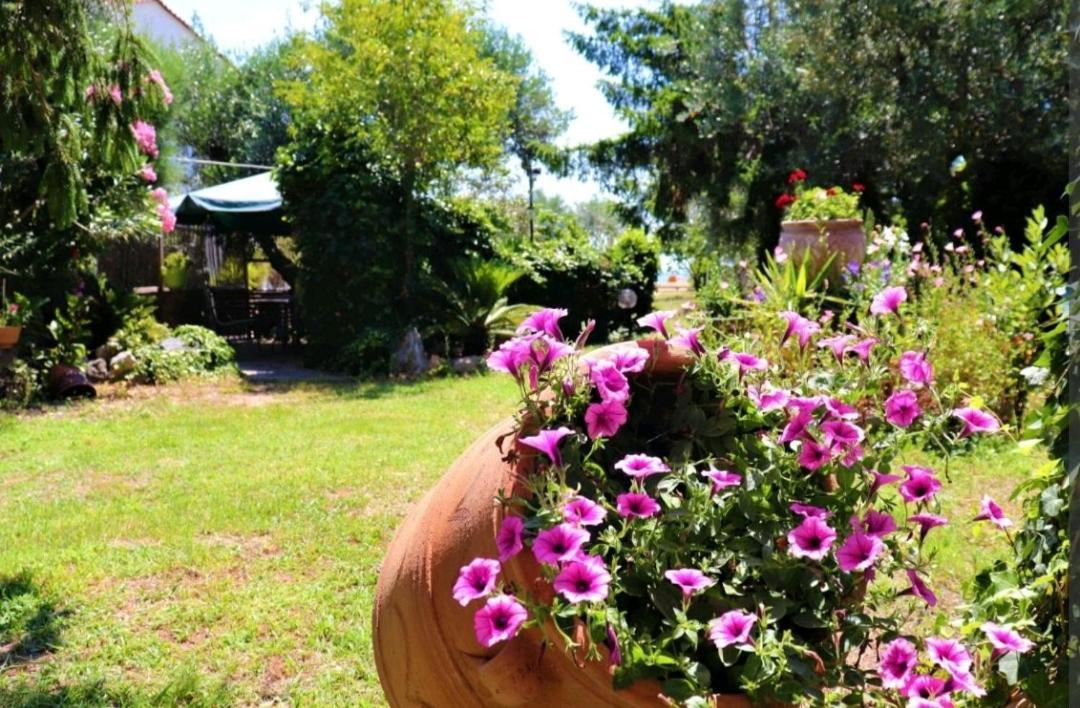 House By The Sea 2 Διαμέρισμα Nea Iraklitsa Εξωτερικό φωτογραφία
